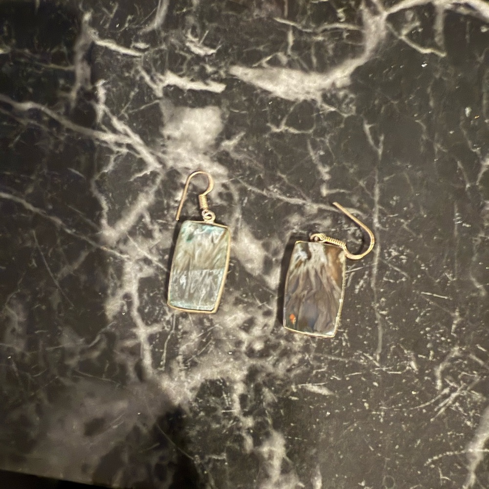 Elegant Silver and Gray Dangle Earrings